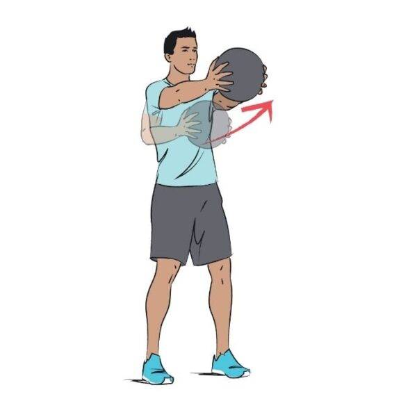 Medicine Ball Palof Press